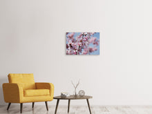 Lade das Bild in den Galerie-Viewer, Leinwandbild 3-teilig Japanische Zierkirsche Close up
