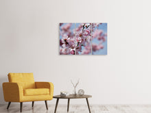 Lade das Bild in den Galerie-Viewer, Leinwandbild 3-teilig Japanische Zierkirsche Close up