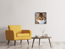 Lade das Bild in den Galerie-Viewer, Leinwandbild Tiger Katze