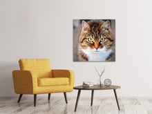 Lade das Bild in den Galerie-Viewer, Leinwandbild Tiger Katze