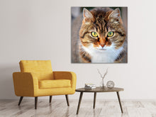 Lade das Bild in den Galerie-Viewer, Leinwandbild Tiger Katze