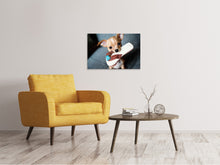 Lade das Bild in den Galerie-Viewer, Leinwandbild Gehorsamer Chihuahua