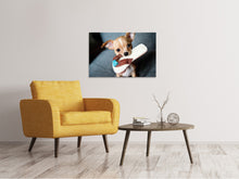 Lade das Bild in den Galerie-Viewer, Leinwandbild Gehorsamer Chihuahua