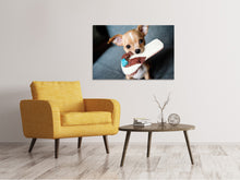 Lade das Bild in den Galerie-Viewer, Leinwandbild Gehorsamer Chihuahua