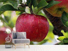 Lade das Bild in den Galerie-Viewer, Fototapete Apfel in XXL