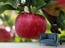 Lade das Bild in den Galerie-Viewer, Fototapete Apfel in XXL