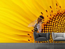 Lade das Bild in den Galerie-Viewer, Fototapete Biene auf der Sonnenblume
