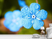 Lade das Bild in den Galerie-Viewer, Fototapete Blaue Blume mit Morgentau

