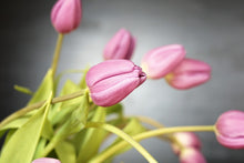 Lade das Bild in den Galerie-Viewer, Fototapete Der Tulpenstrauss in rosa
