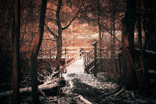 Lade das Bild in den Galerie-Viewer, Fototapete Der Winter kommt