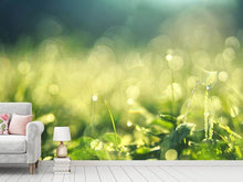 Lade das Bild in den Galerie-Viewer, Fototapete In der Wiese