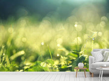 Lade das Bild in den Galerie-Viewer, Fototapete In der Wiese