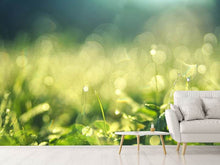 Lade das Bild in den Galerie-Viewer, Fototapete In der Wiese