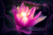 Lade das Bild in den Galerie-Viewer, Fototapete Lilie im Lichterspiel