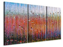 Lade das Bild in den Galerie-Viewer, Leinwandbild 3-teilig Hinter Glas