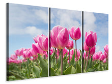 Lade das Bild in den Galerie-Viewer, Leinwandbild 3-teilig Tulpenfeld in rosa