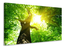 Lade das Bild in den Galerie-Viewer, Leinwandbild Baum
