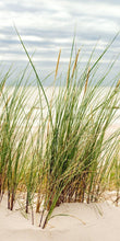 Lade das Bild in den Galerie-Viewer, Türposter selbstklebend Türtapete Sand Düne Gras Ostsee 100DG
