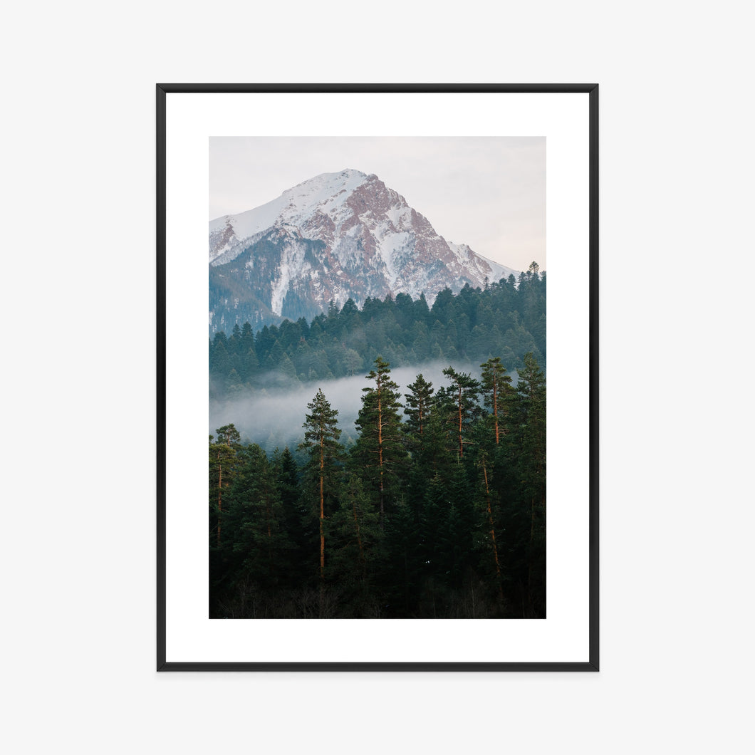 Poster Berggrüner Wald Im Nebel Rahmen Holz Mit Passepartout Farbe Natürlich