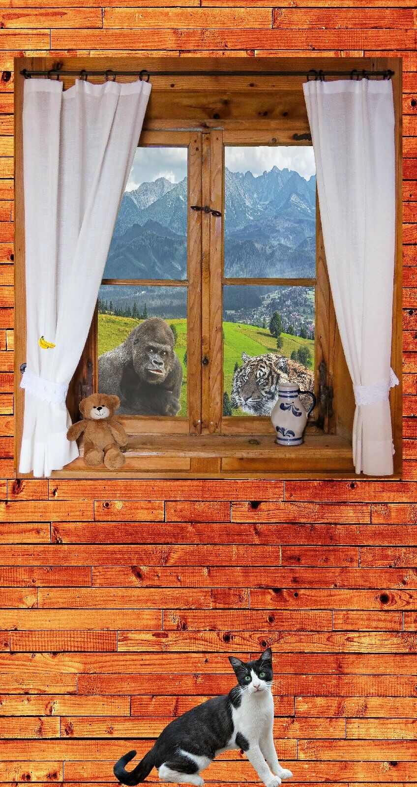 Türtapete Fenster Türposter 100x200cm 100x200cm selbstklebend Tiere Gorilla Tiger Klima warm