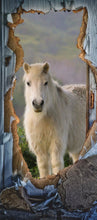 Lade das Bild in den Galerie-Viewer, Türposter Pony Pferd Schimmel Tapete selbstklebend  200x90cm 9011

