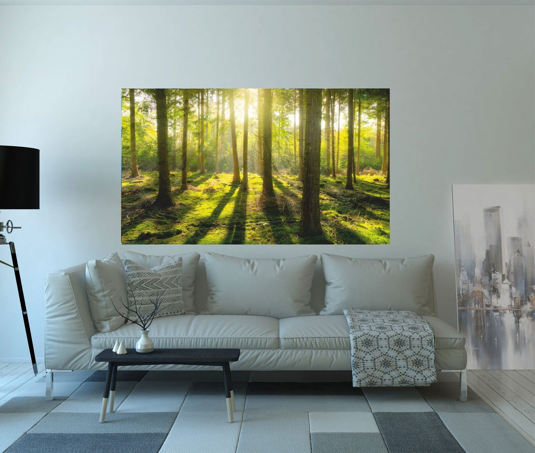 Wandbild Wald Sonne Natur 200x115cm WAB111