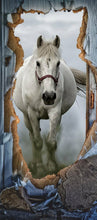 Lade das Bild in den Galerie-Viewer, Türposter Pony Pferd Schimmel Tapete selbstklebend  200x90cm 9011
