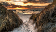 Lade das Bild in den Galerie-Viewer, Wandbild Ostsee Fototapete Poster Dünen Küste Meer Strand Wolken WA702
