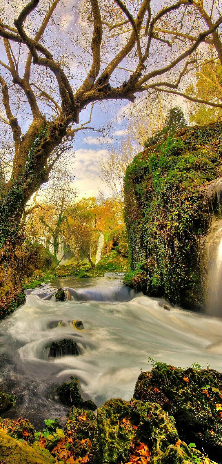 Türtapete Wasserfall Türposter   selbstklebend Natur Baum Grün Fluss