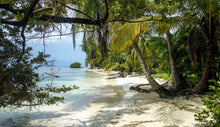 Lade das Bild in den Galerie-Viewer, Wandbild Karibik Fototapete Poster Panama Strand  Meer Urlaub Natur  WA709LI
