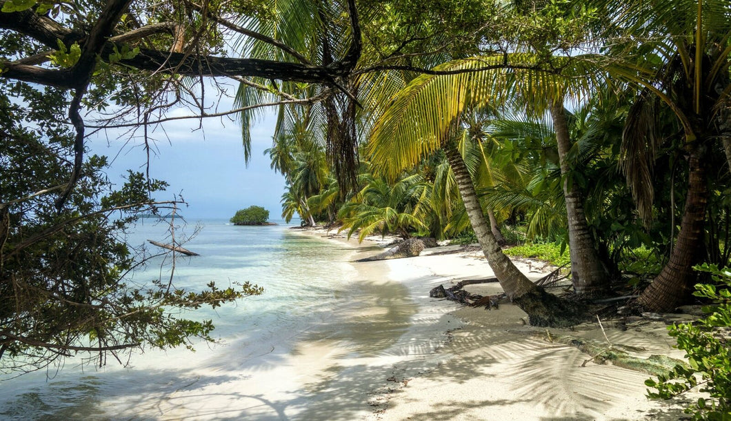 Wandbild Karibik Fototapete Poster Panama Strand  Meer Urlaub Natur  WA709LI