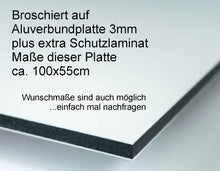 Lade das Bild in den Galerie-Viewer, KÜCHENRÜCKWAND Spritzschutz Aluverbund Platte 3mm krw1000

