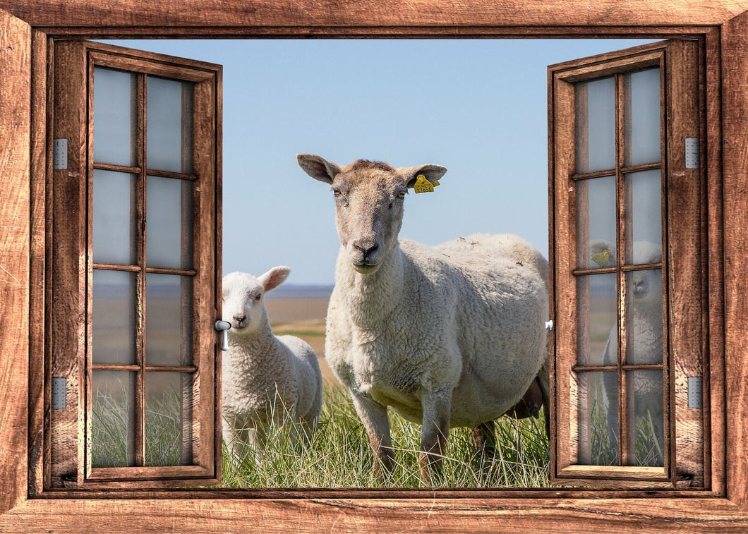 Natur Fensterblick Weide Lamm Wiese Poster Wandbild – Fototapete Schafe livingcasa