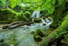 Lade das Bild in den Galerie-Viewer, Wandbild BACH Fototapete Poster XL Tapete Wasser Natur Rinde Holz WA69
