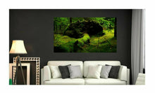 Lade das Bild in den Galerie-Viewer, Wandbild WALD Fototapete Poster XXL  Moos Natur Landschaft Urwald WA92
