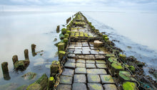 Lade das Bild in den Galerie-Viewer, Wandbild Mole Fototapete Poster XXL Natur Meer Nordsee Reise Stein  WA305LI
