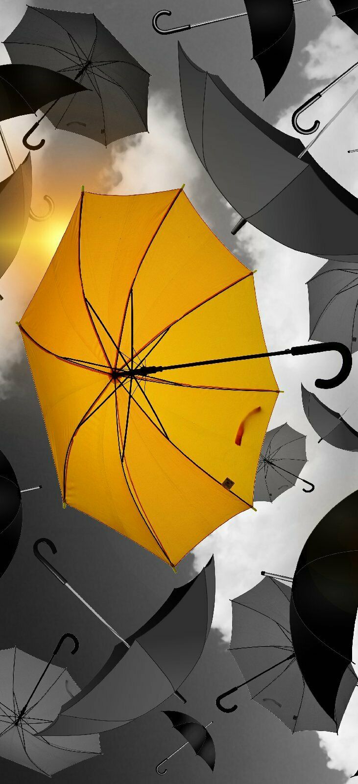 Türtapete SCHIRM Türposter 200x100cm   selbstklebend Gelb Mode Wetter Regen Wind 2