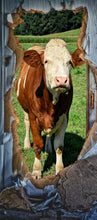 Lade das Bild in den Galerie-Viewer, Türposter Kuh Rind Vieh Highland Tapete selbstklebend  200x90cm 9013
