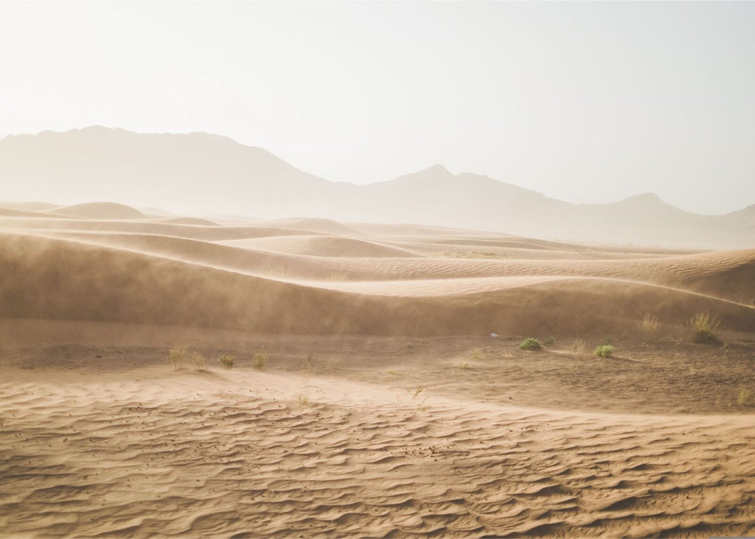 Wandbild Fototapete selbstklebend Wüste Natur Abenteuer WAB105
