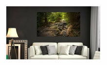 Lade das Bild in den Galerie-Viewer, Wandbild WALD Fototapete Poster XXL Harz Brocken Natur Landschaft WA91
