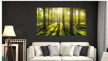 Lade das Bild in den Galerie-Viewer, Wandbild Wald Sonne Natur 200x115cm WAB111
