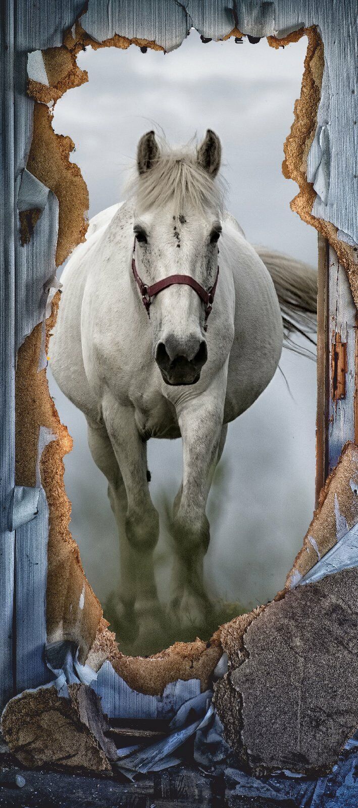 Türposter Pony Pferd Schimmel Tapete selbstklebend  200x90cm 9010