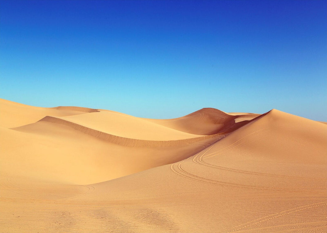 Wandbild Fototapete selbstklebend Wüste Natur Abenteuer WAB106