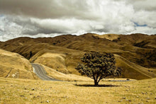 Lade das Bild in den Galerie-Viewer, Fototapete NATUR STEPPE BERGE Tapete Wandtattoo Wandbild selbstklebend  WA26
