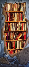 Lade das Bild in den Galerie-Viewer, Türtapete Türposter selbstklebend Türposter Bücherregal Lost Places 9017-2
