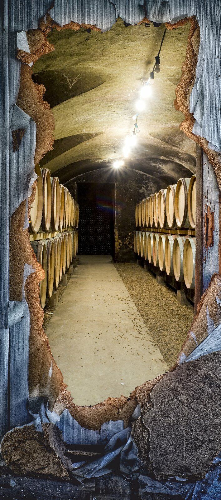 Türtapete Wein Türposter   selbstklebend Tapete Keller Fässer Holz Jahrgang 1221