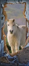 Lade das Bild in den Galerie-Viewer, Türposter Pony Pferd Tier Tapette selbstklebend  200x90cm 9008
