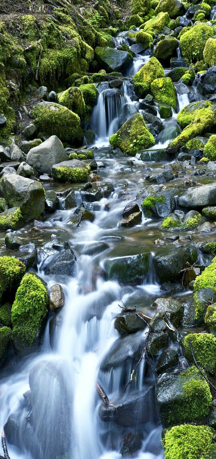 Türtapete Wasserfall Türposter   selbstklebend Natur Steine Moos Fluss 1176tp