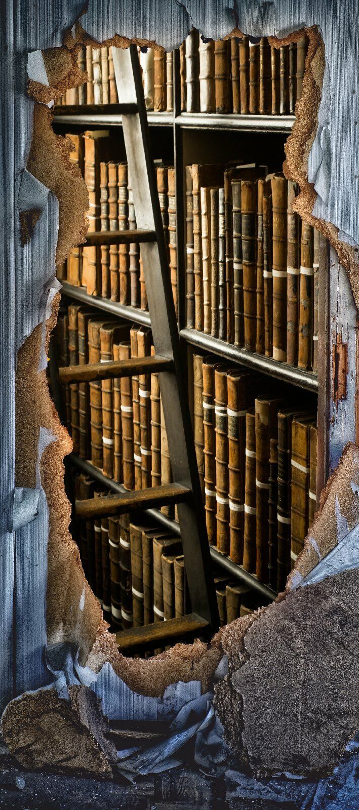Türtapete Bücher Türposter   selbstklebend Bibliothek Lesen Treppe Wissen