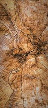 Lade das Bild in den Galerie-Viewer, Türposter Holz Baumstamm Jahresringe  Türtapete selbstklebend 9067
